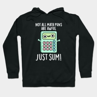 Not All Math Puns Are Awful Just Sum Cute Pun Hoodie